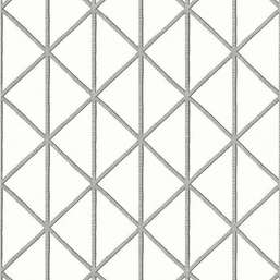  Thibaut Tropics Box Kite T10134