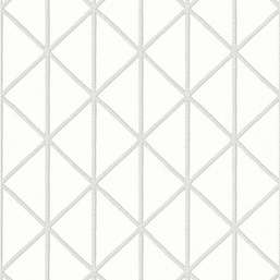  Thibaut Tropics Box Kite T10135