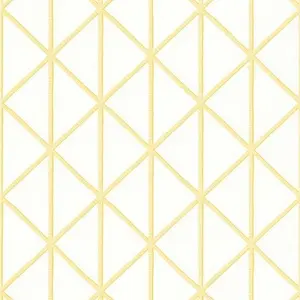  Thibaut Tropics Box Kite T10136 -  1