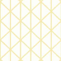 Thibaut Tropics Box Kite T10136