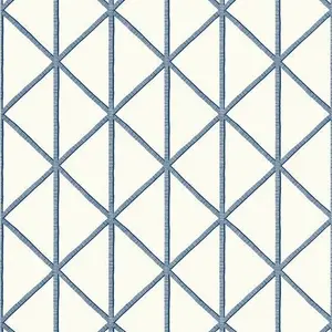  Thibaut Tropics Box Kite T10139 -  1