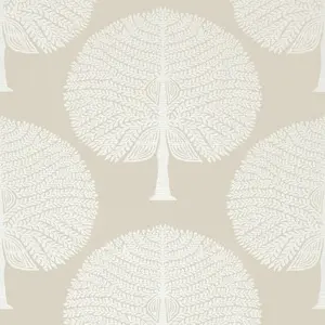  Thibaut Ceylon  T10601 -  1