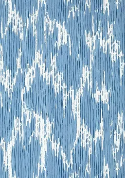  Thibaut  T20819