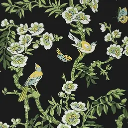  Thibaut  T20845