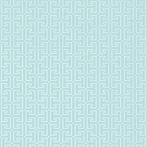  Thibaut  T20864 -  1