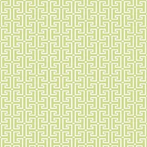  Thibaut  T20865 -  1