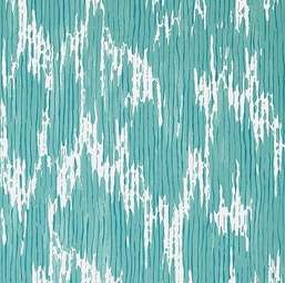  Thibaut Eden T20817 