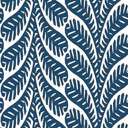  Thibaut Eden T20827