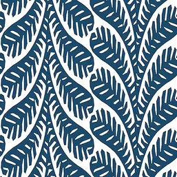  Thibaut Eden T20827