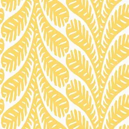  Thibaut Eden T20828