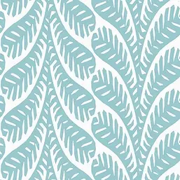  Thibaut Eden T20829