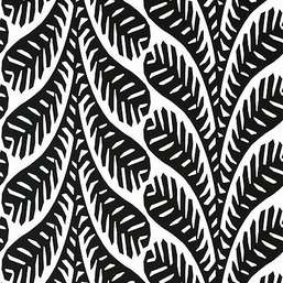  Thibaut Eden T20830