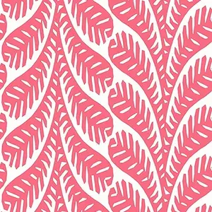  Thibaut Eden T20831 -  1