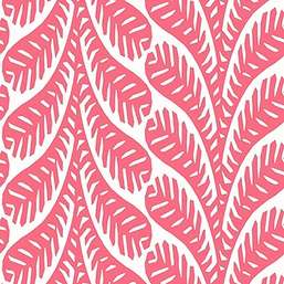  Thibaut Eden T20831
