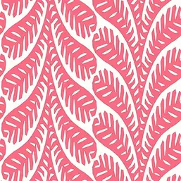  Thibaut Eden T20831