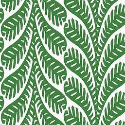  Thibaut Eden T20832