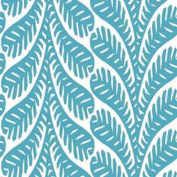  Thibaut Eden T20833