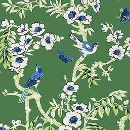  Thibaut Eden T20841