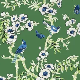  Thibaut Eden T20841