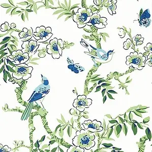  Thibaut Eden T20842  -  1