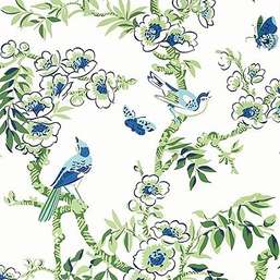  Thibaut Eden T20842 