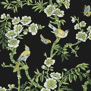  Thibaut Eden T20845 -  1