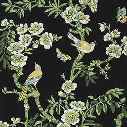  Thibaut Eden T20845