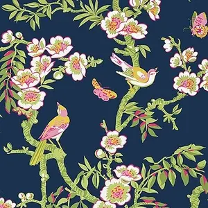  Thibaut Eden T20846 -  1