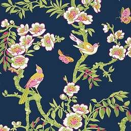  Thibaut Eden T20846