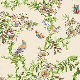  Thibaut Eden T20847