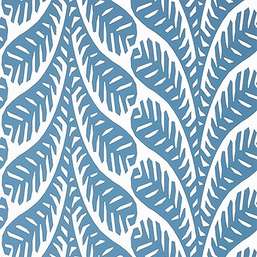  Thibaut Eden T20848