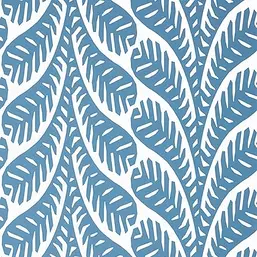  Thibaut Eden T20848