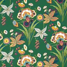  Thibaut Eden T20849