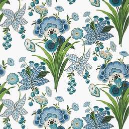  Thibaut Eden T20851