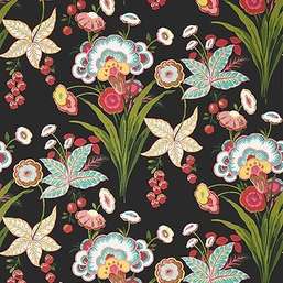  Thibaut Eden T20853
