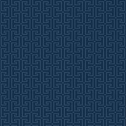  Thibaut Eden T20858