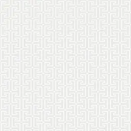  Thibaut Eden T20859