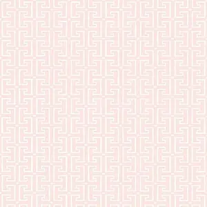  Thibaut Eden T20861 -  1