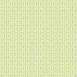  Thibaut Eden T20865