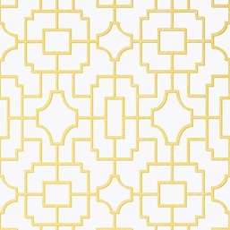  Thibaut Eden T20873 