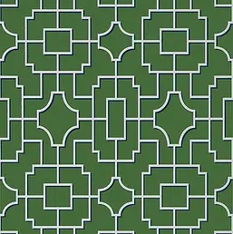  Thibaut Eden T20874