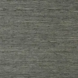  Thibaut Greenwood T85009