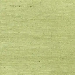  Thibaut Greenwood T85012