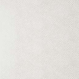  Thibaut Greenwood T85066
