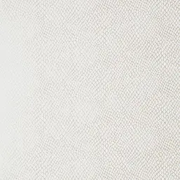  Thibaut Greenwood T85066