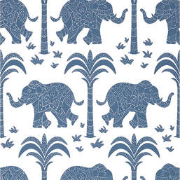  Thibaut Kismet T16200