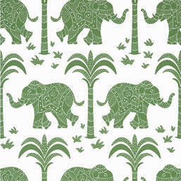  Thibaut Kismet T16201 