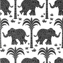  Thibaut Kismet T16202