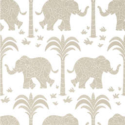  Thibaut Kismet T16205