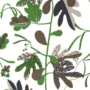  Thibaut Kismet T16208 -  1